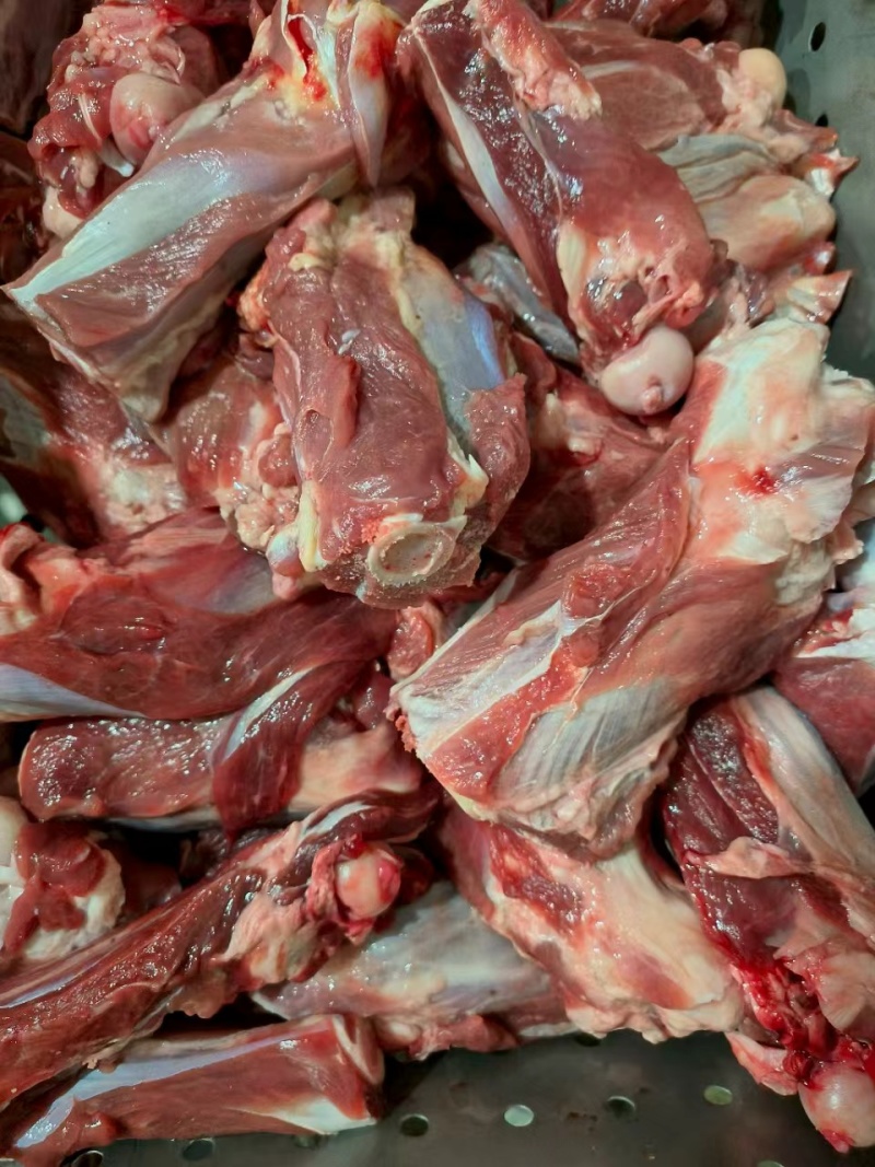 蒙凯路肉棒骨
