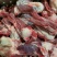 蒙凯路肉棒骨