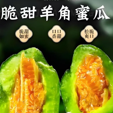 精品羊角蜜甜瓜产地一手货源全国发货量大价优欢迎随时联系