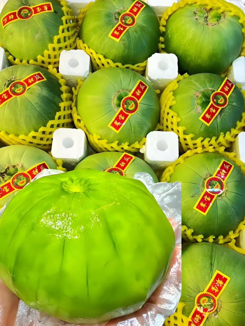 精品羊角蜜甜瓜产地一手货源全国发货量大价优欢迎随时联系