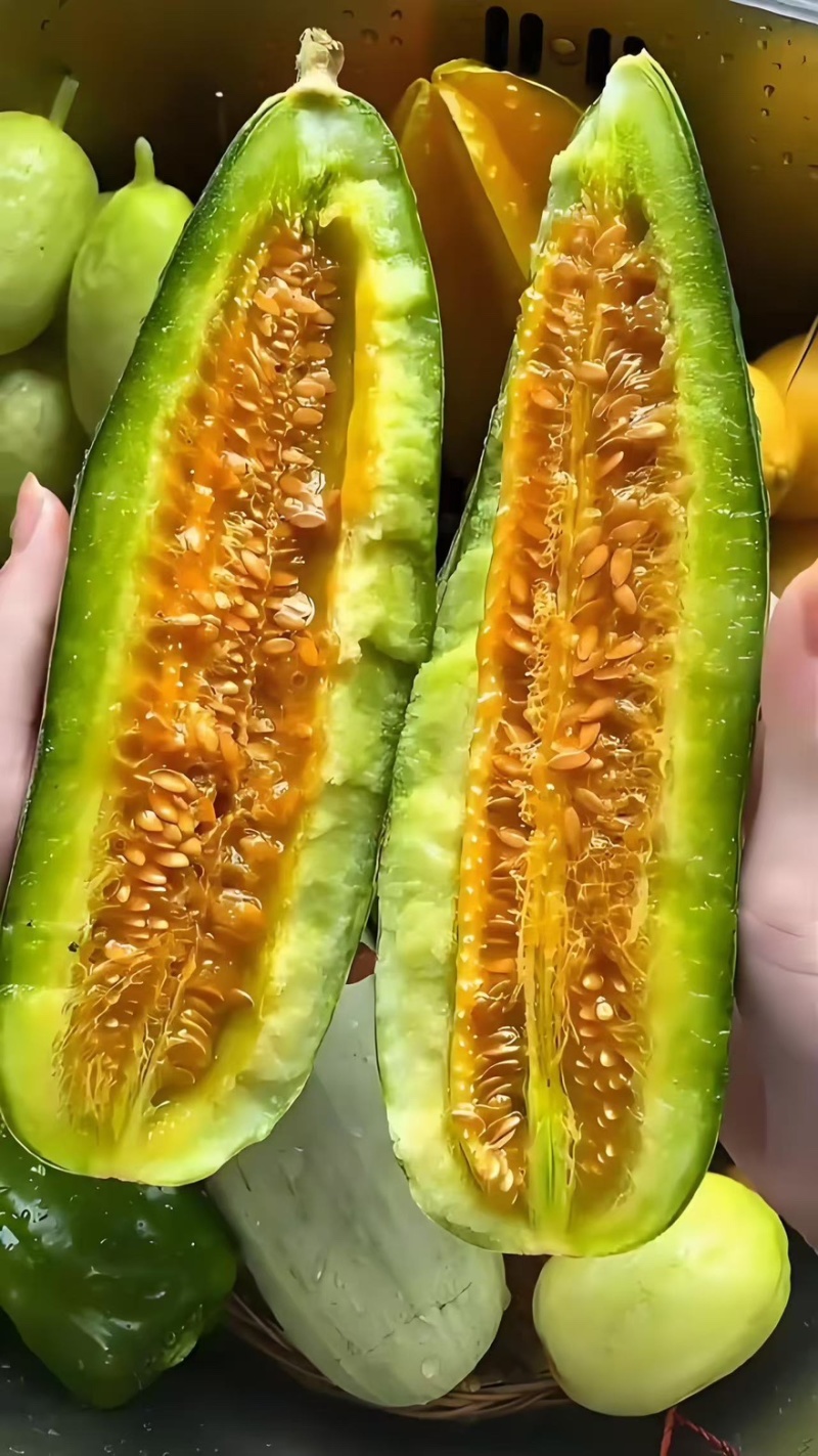 精品羊角蜜甜瓜产地一手货源全国发货量大价优欢迎随时联系