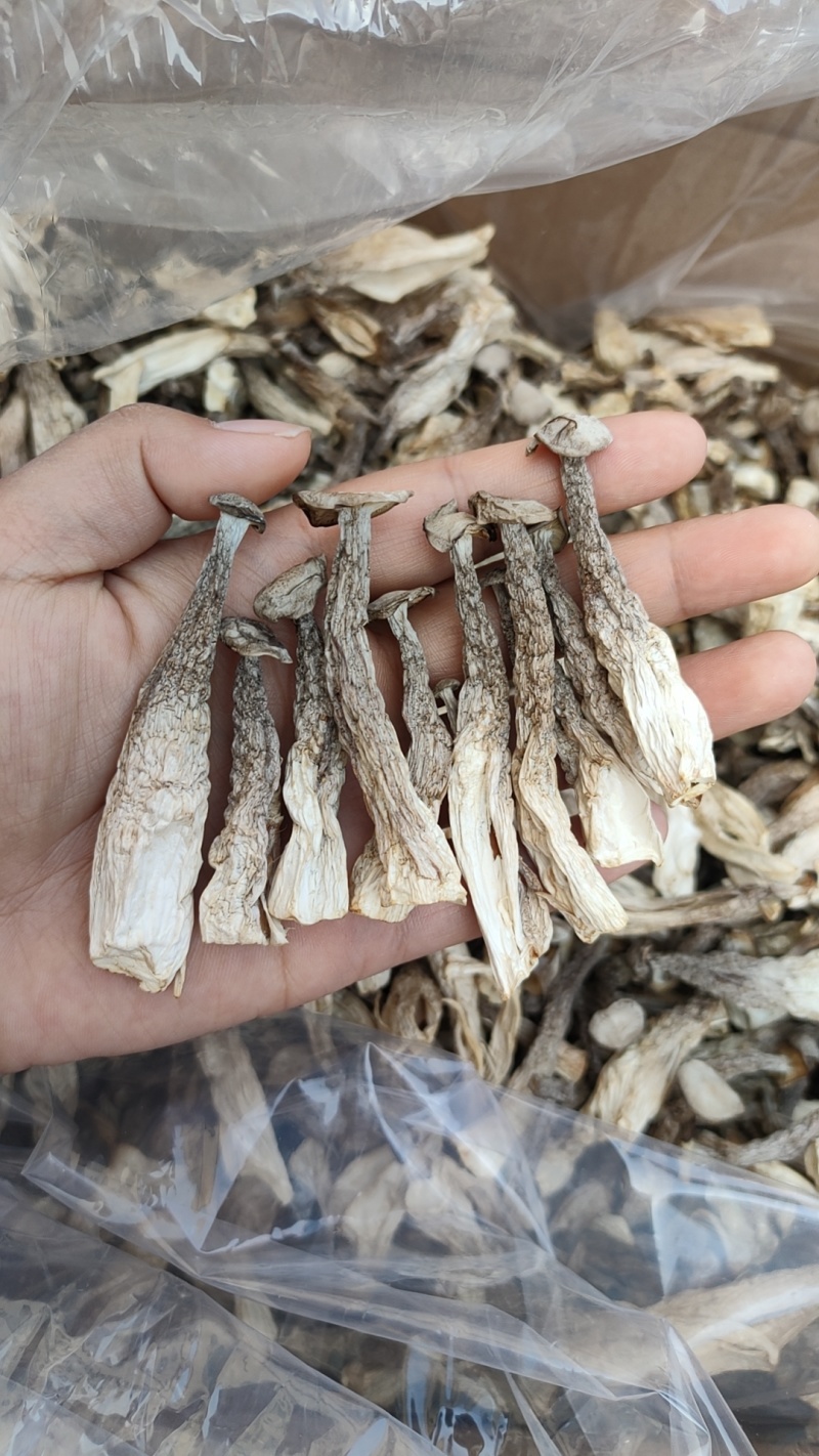 包邮【净重发货】鹿茸菇干货煲汤炖汤食材***家用菌类