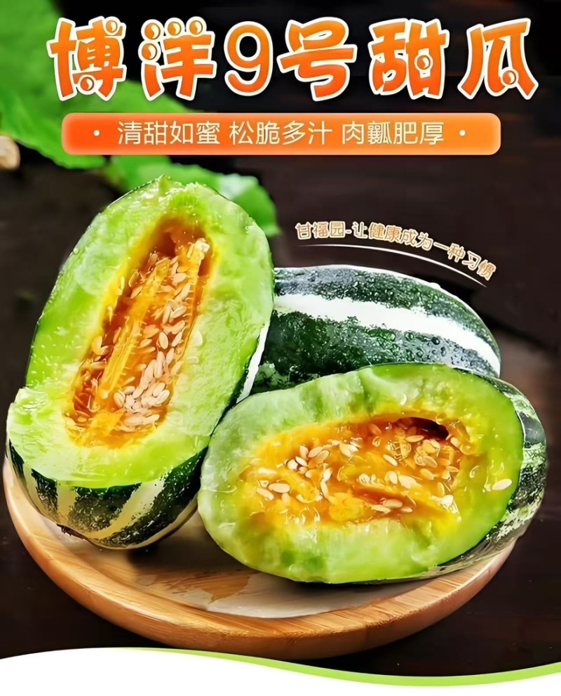 精品博洋9号甜瓜产地一手货源全国发货量大价优欢迎随时联系