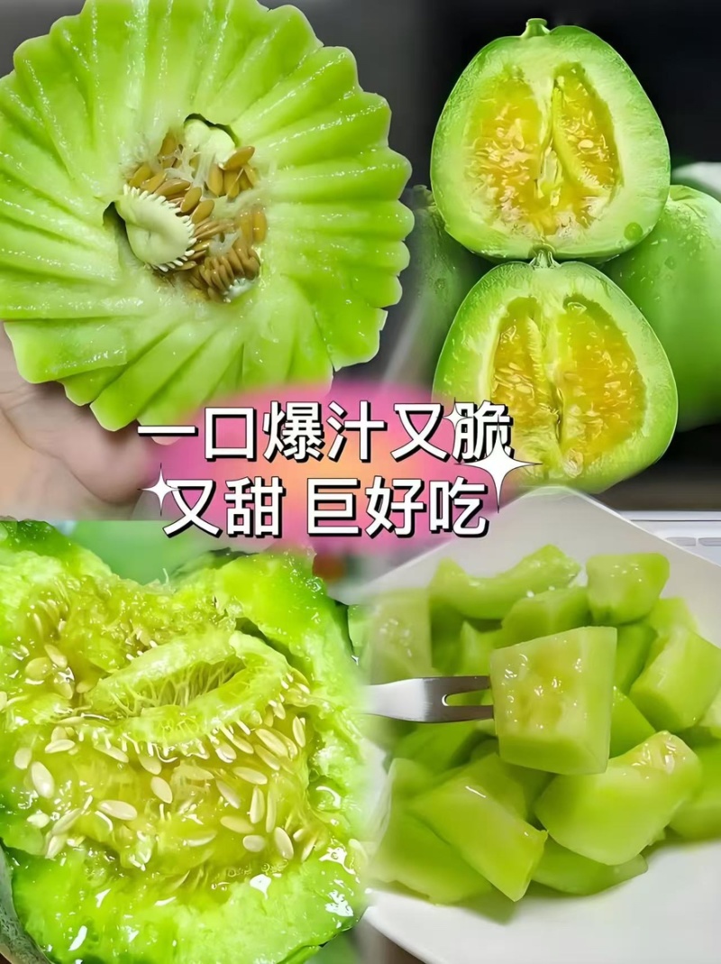 精品绿宝甜瓜产地一手货源全国发货量大价优欢迎随时联系