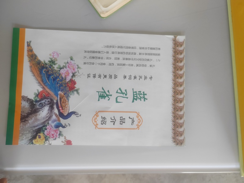 出售孔雀蛋，孔雀苗