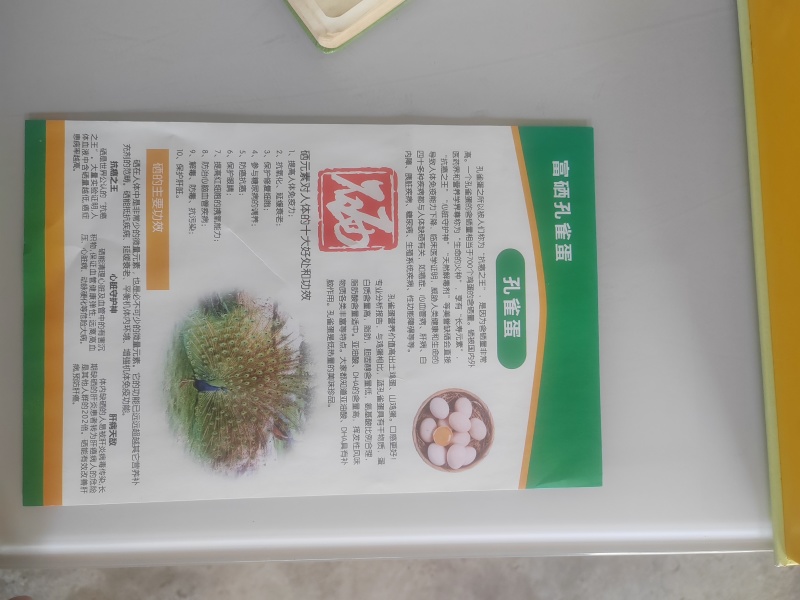 出售孔雀蛋，孔雀苗