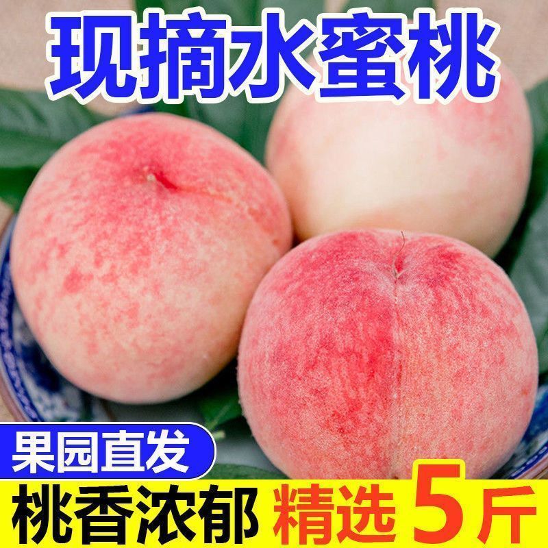 【日发万单】水蜜桃毛桃一件代发承接各大电商平台直播