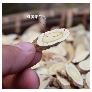 山西浑源黄芪野生正北芪，