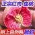 【一件代发】湖北血桃承接各大电商平台直播落地配