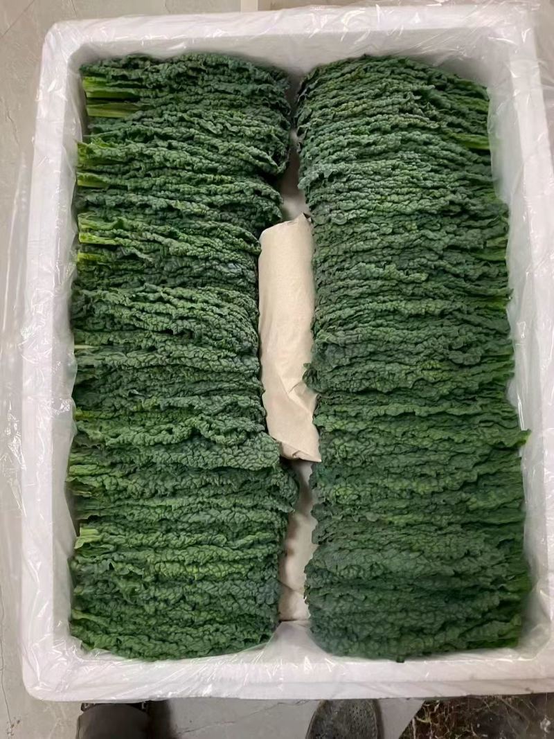 邹叶菜