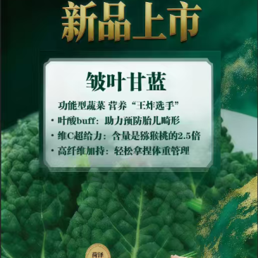 邹叶菜