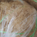 全干龙须菜干货无盐鹿角菜干到扎手海藻石花菜凉拌菜麒麟批发