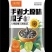 原味瓜子