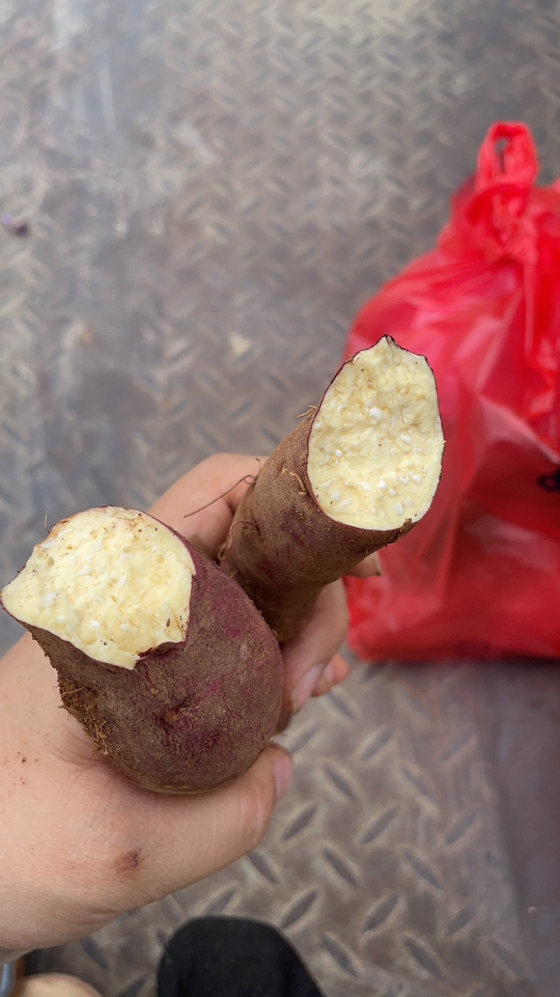 榴莲蜜薯丝滑精品电商商超