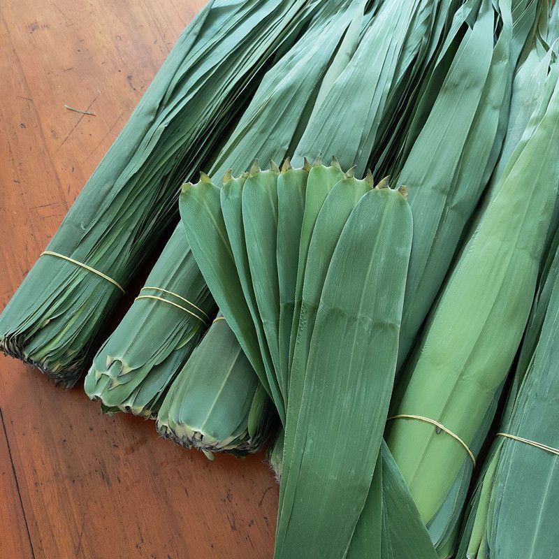 正宗白洋淀新鲜野生芦苇叶***现摘农家粽子叶新鲜芦苇叶粽