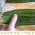 【新鲜现摘】粽叶新鲜大叶芦苇叶***粽子叶特大号芒叶
