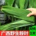 【新鲜现摘】粽叶新鲜大叶芦苇叶***粽子叶特大号芒叶
