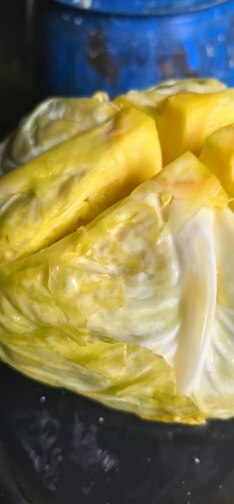 【泡菜】泡包菜，酸包菜