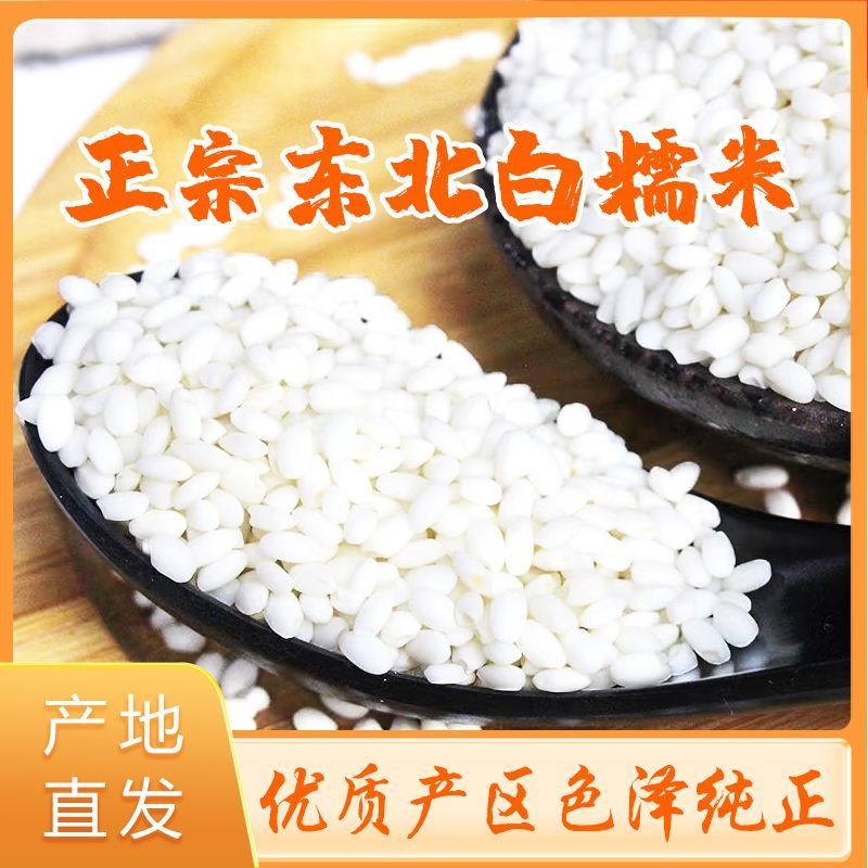 东北圆糯米5斤新米新鲜米白糯米江米酒酿包粽子米新糯正宗东