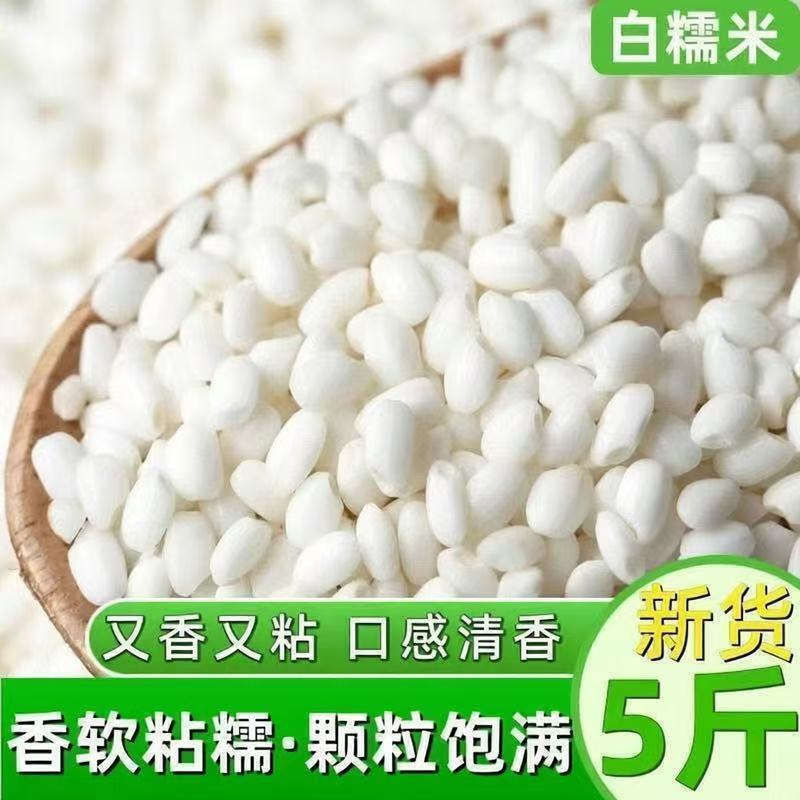 东北好糯米五纯常糯米圆粒糯米江米黏米新糯米酿酒包粽子饭团