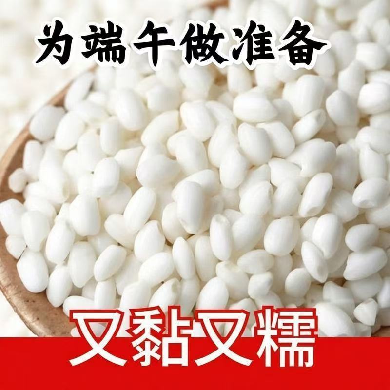 东北好糯米五纯常糯米圆粒糯米江米黏米新糯米酿酒包粽子饭团