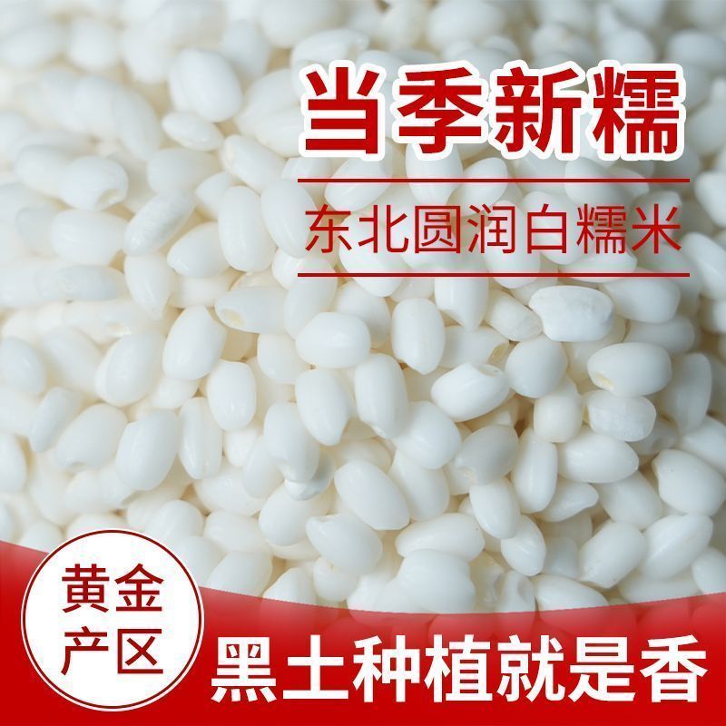 东北好糯米五纯常糯米圆粒糯米江米黏米新糯米酿酒包粽子饭团