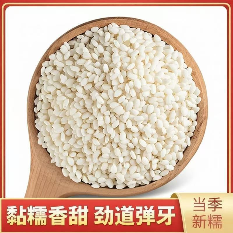 东北好糯米五纯常糯米圆粒糯米江米黏米新糯米酿酒包粽子饭团