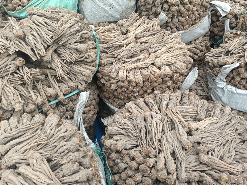 当归各种规格