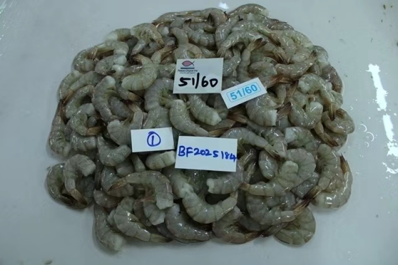 去头生冻南美白对虾，全规格，欢迎老板询价