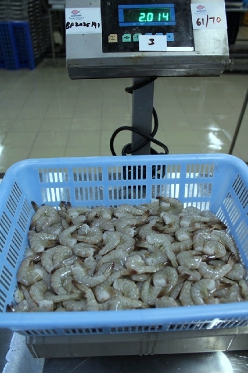 去头生冻南美白对虾，全规格，欢迎老板询价