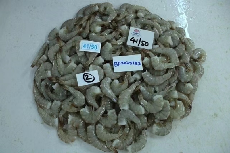 去头生冻南美白对虾，全规格，欢迎老板询价