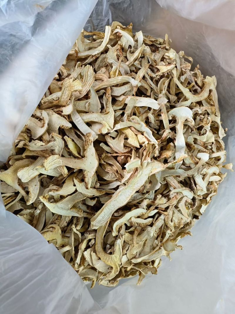 正宗松茸切片干货高海拔无硫煲汤食材可散装可批发