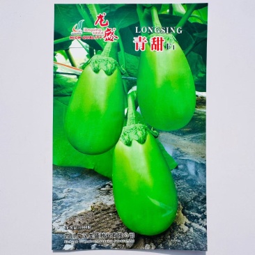 龙盛青甜茄种子绿色灯泡茄种子春秋季蔬菜种子青皮绿肉绿罐茄