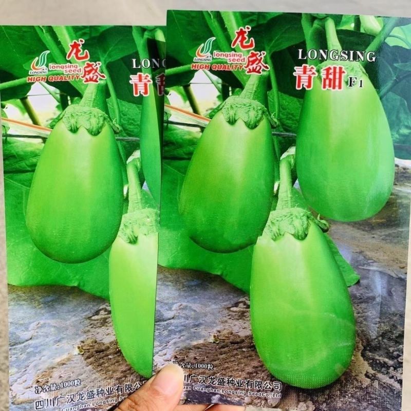 龙盛青甜茄种子绿色灯泡茄种子春秋季蔬菜种子青皮绿肉绿罐茄