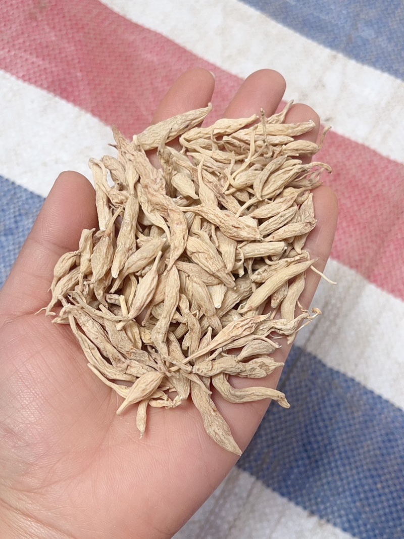 野生麦冬麦冬无硫批发零售泡茶煲汤药用