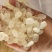 皂角米雪莲子欢迎联系拿样、看实物
