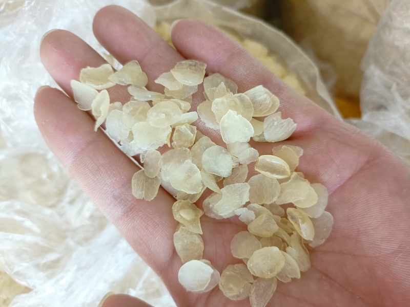 皂角米雪莲子欢迎联系拿样、看实物
