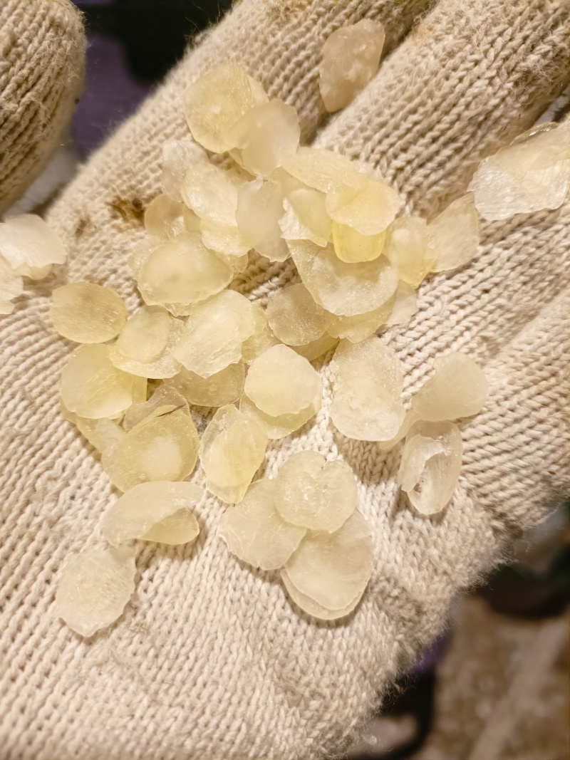 皂角米雪莲子欢迎联系拿样、看实物