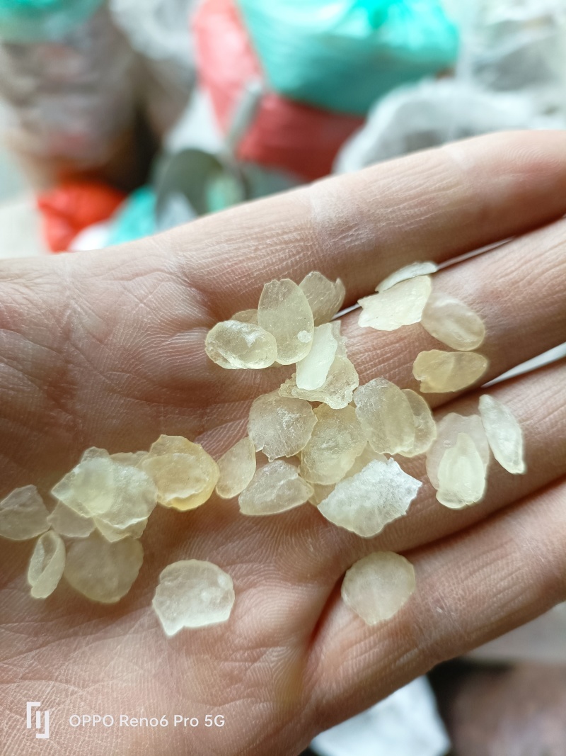 皂角米雪莲子欢迎联系拿样、看实物