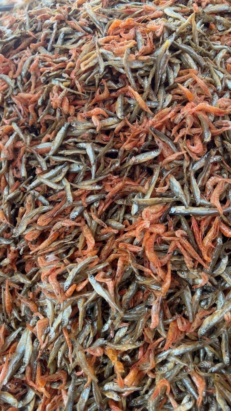 鱼恋虾/杂鱼虾/小鱼小虾/精选鱼恋虾