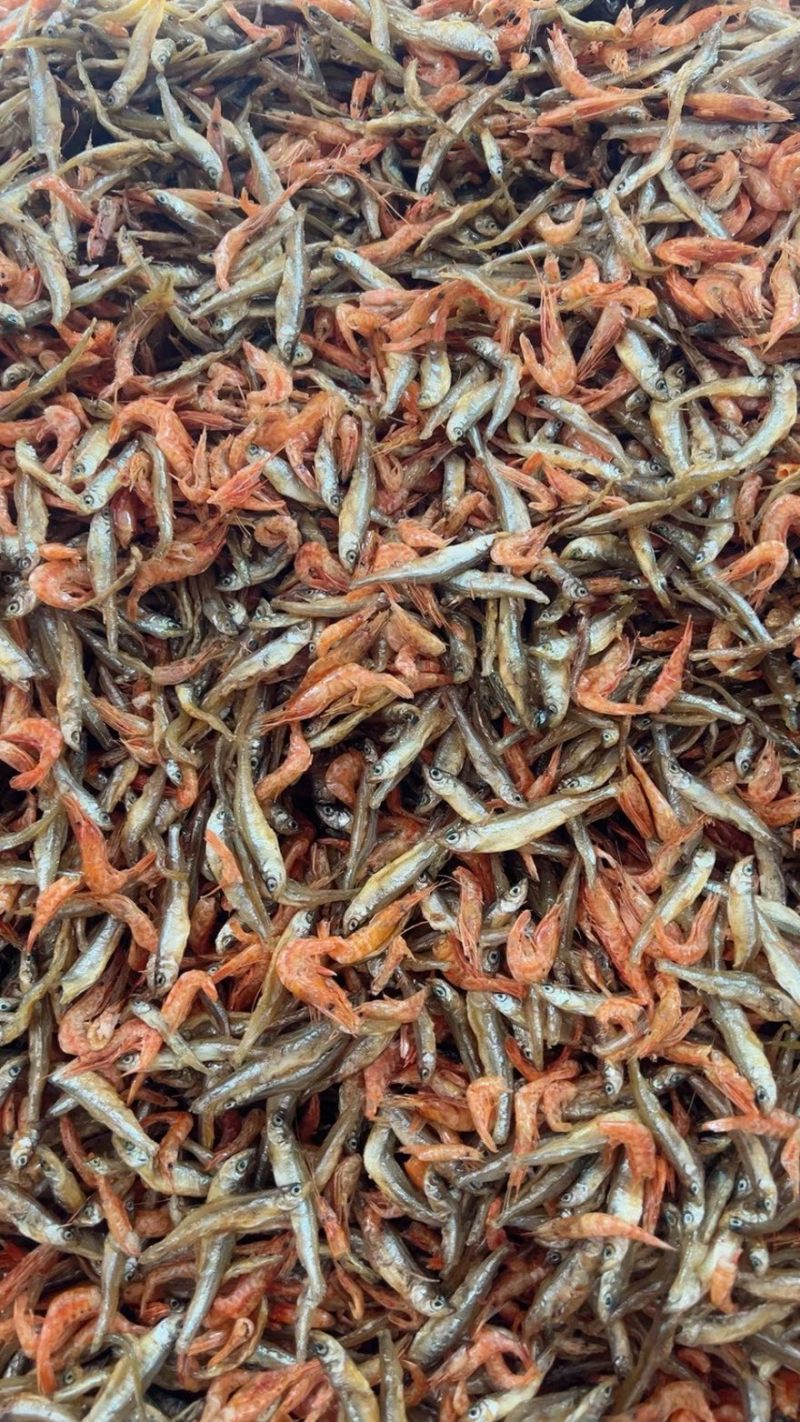 鱼恋虾/杂鱼虾/小鱼小虾/精选鱼恋虾