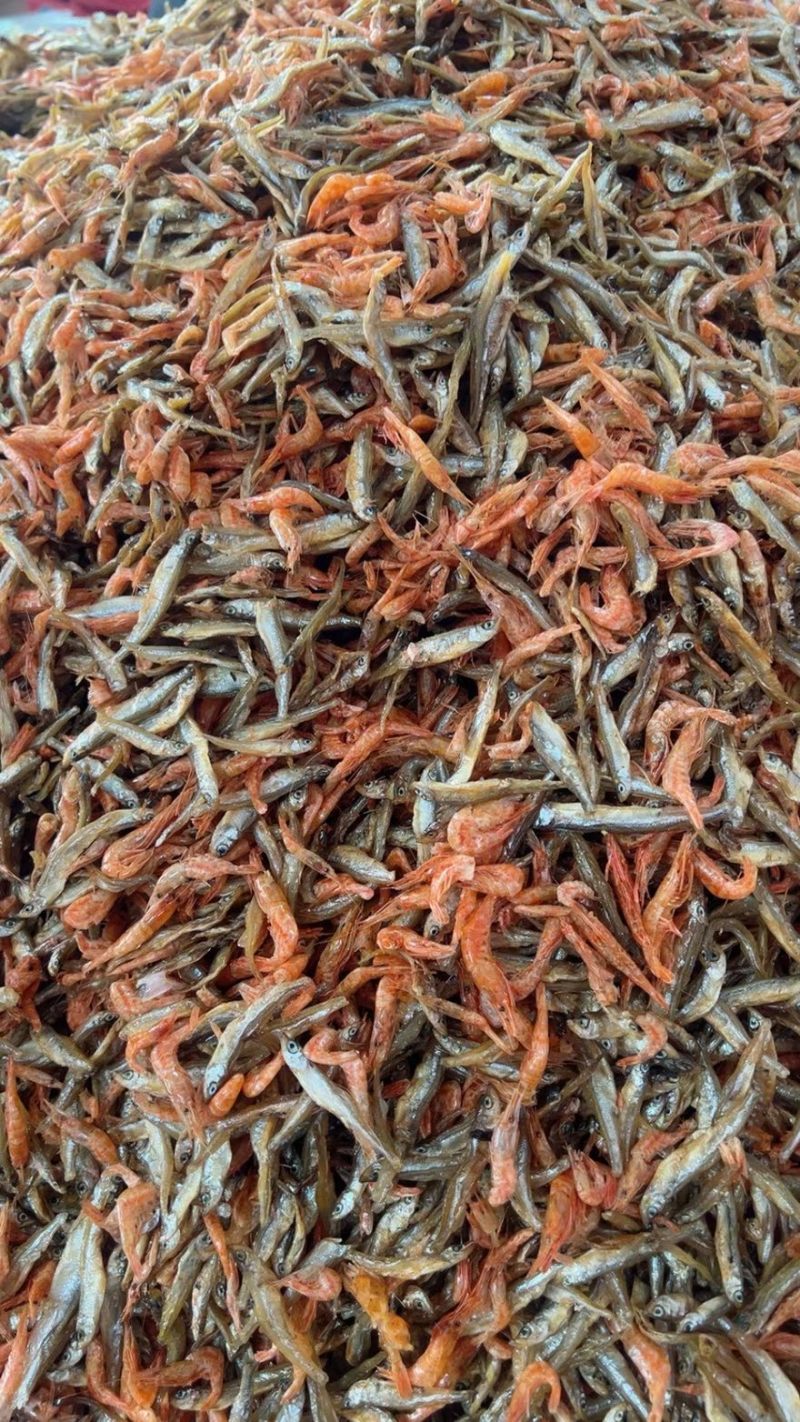鱼恋虾/杂鱼虾/小鱼小虾/精选鱼恋虾