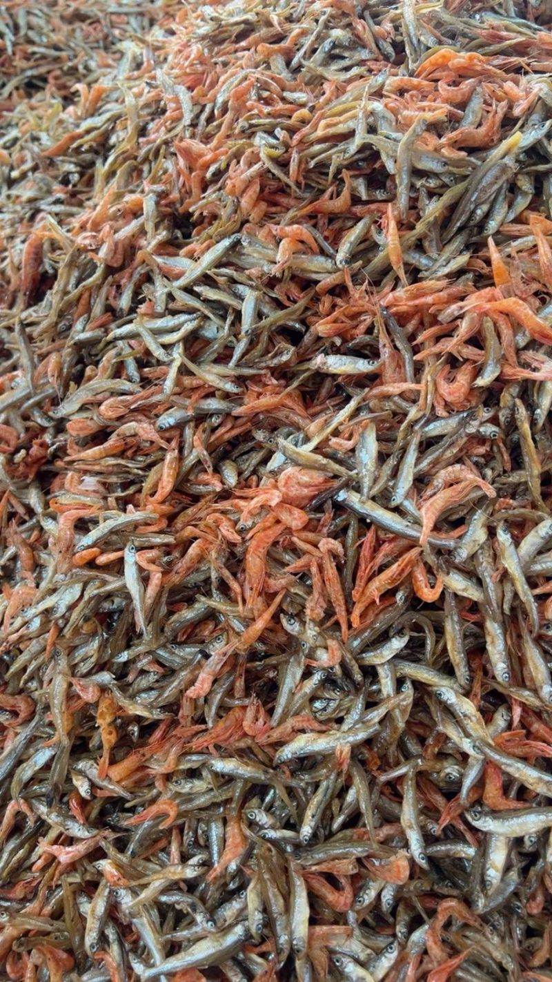 鱼恋虾/杂鱼虾/小鱼小虾/精选鱼恋虾