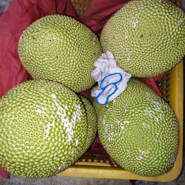 海南水果榴莲蜜尖蜜拉的名字