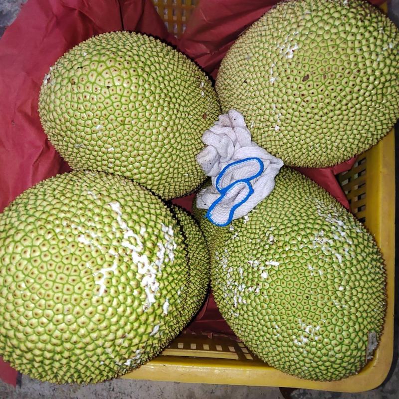 海南水果榴莲蜜尖蜜拉的名字