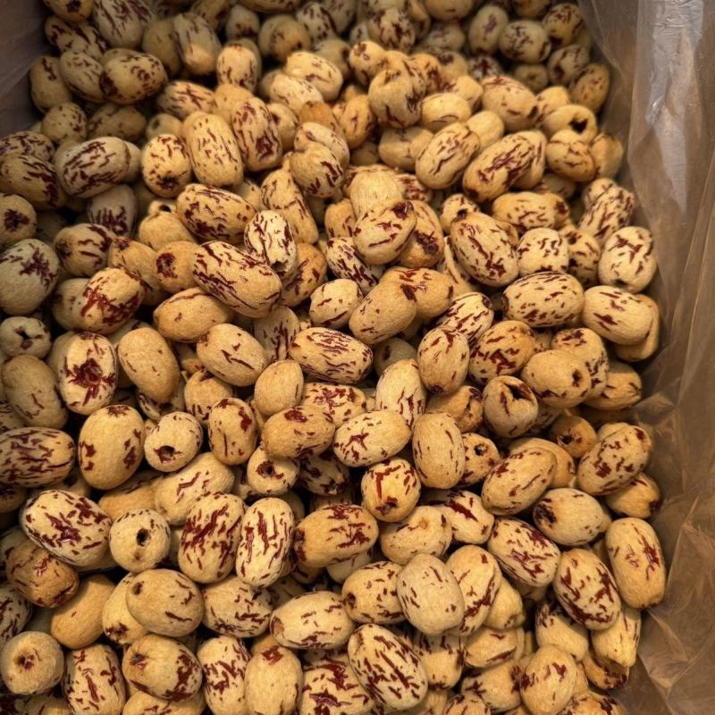 虎皮枣500g一袋支持定制可以对接各大平台支持一件代发