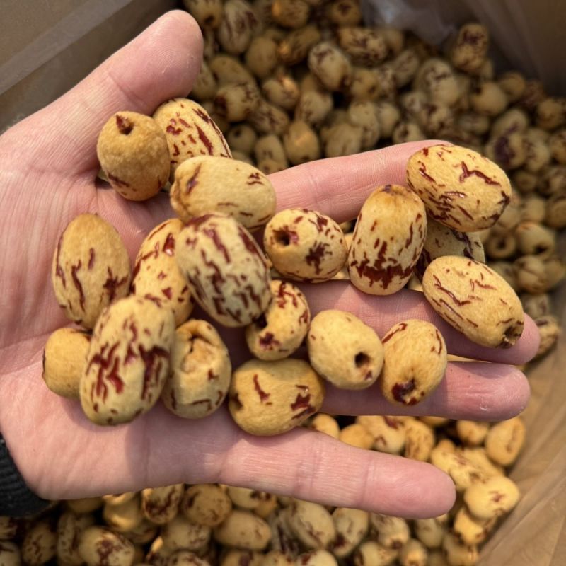 虎皮枣500g一袋支持定制可以对接各大平台支持一件代发