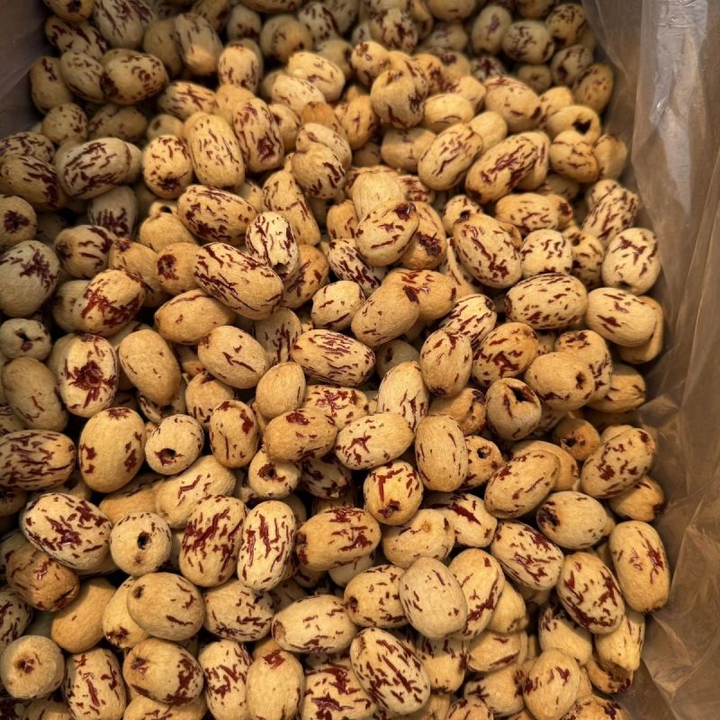 虎皮枣500g一袋支持定制可以对接各大平台支持一件代发