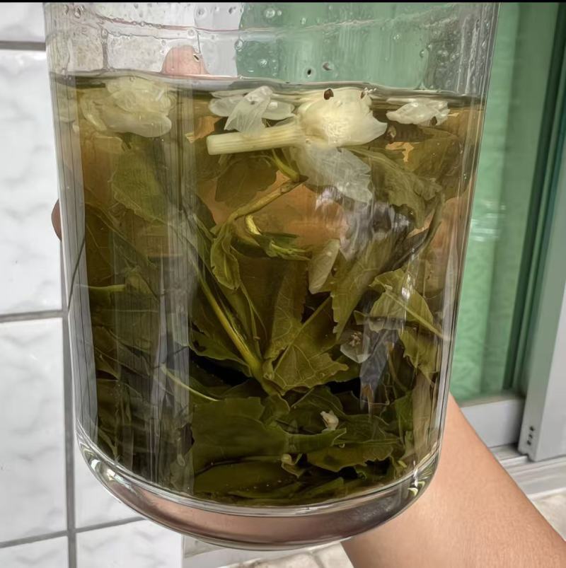 炒花茉莉花茶电商用茶奶茶原料口粮茶茉莉绿茶餐饮
