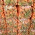 水洗胡萝卜量大从优可视频看货基地货源支持电商市场商超